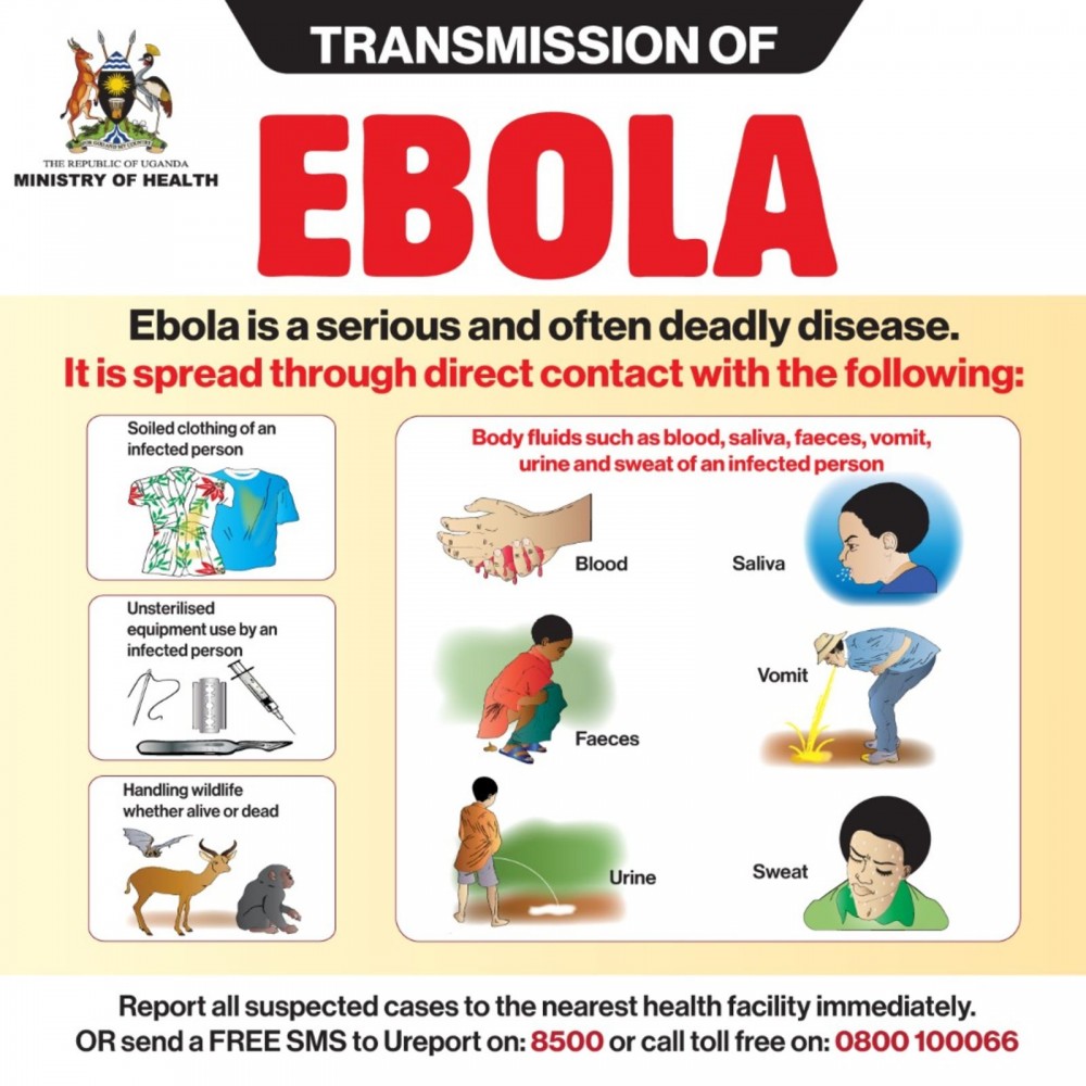 ebola-cases-rise-to-16-as-outbreak-continues-to-spread