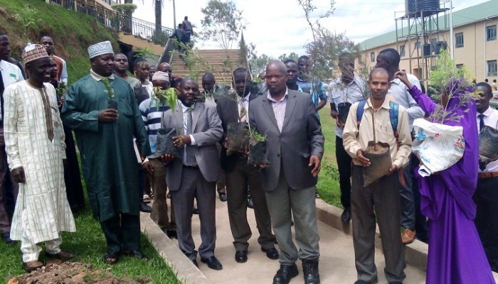 Kiu Western Campus Faculty Of Education Successfully Celebrate Their Tree Conservation Day