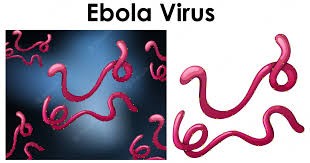 Kiu Western Campus Ramps Up Ebola Prevention Measures