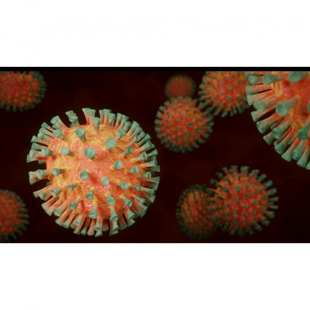 one-new-coronavirus-case-confirmed-bringing-total-to-55