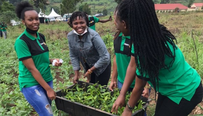 Rotaract Club Of Kiu Joins Compatriots From Muyenga In Tree-planting Project
