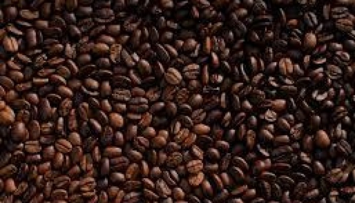 Uganda’s Monthly Coffee Earnings Reach $ 80m Mark As Global Prices Continue To Soar