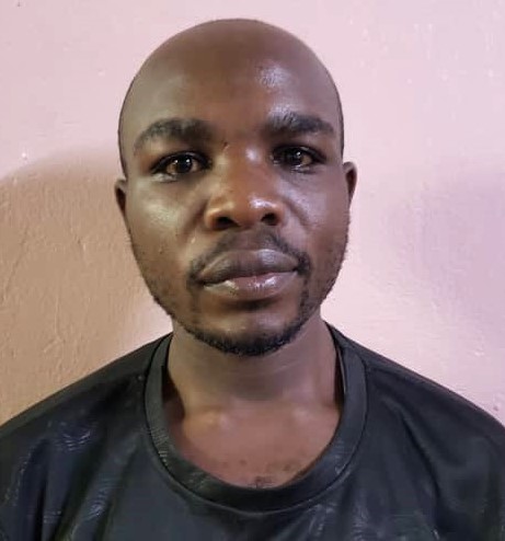 Mr Hafashimana Julius