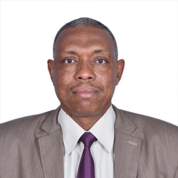 Prof Tarig Elsheik Mahmoud