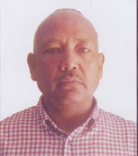 Mr Abd Elmageed Ali Elnour
